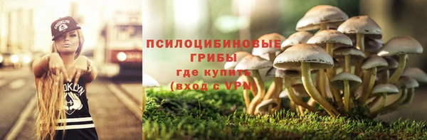 дмт Алексеевка