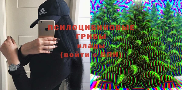 дмт Алексеевка
