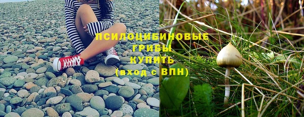 амф Алексин